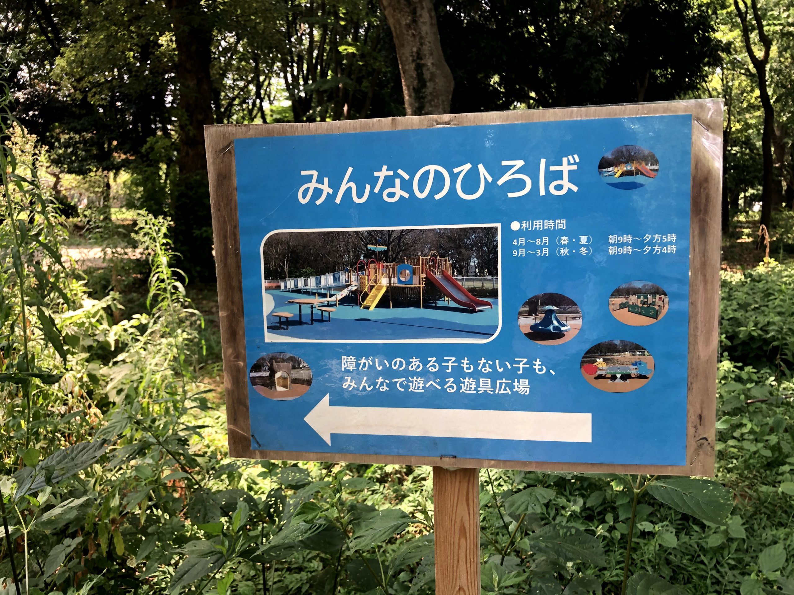 介護付き旅行サービス東京さんぽで行く砧公園