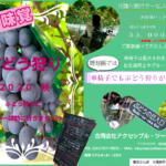 介護付旅行サービス東京さんぽ🄬