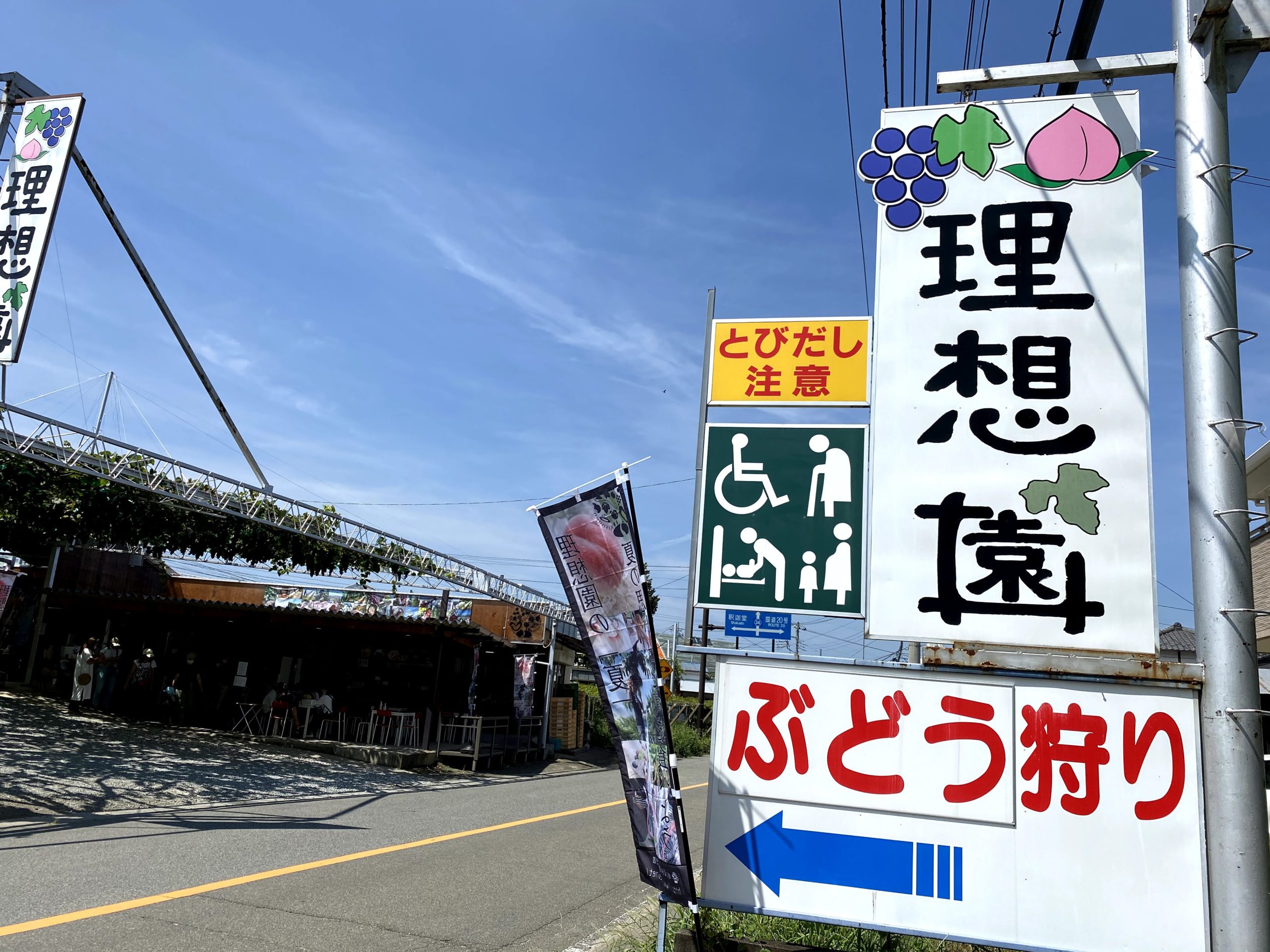 介護付き旅行サービス東京さんぽで行くぶどう狩り