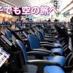 介護付き旅行サービス東京さんぽで行く空の旅