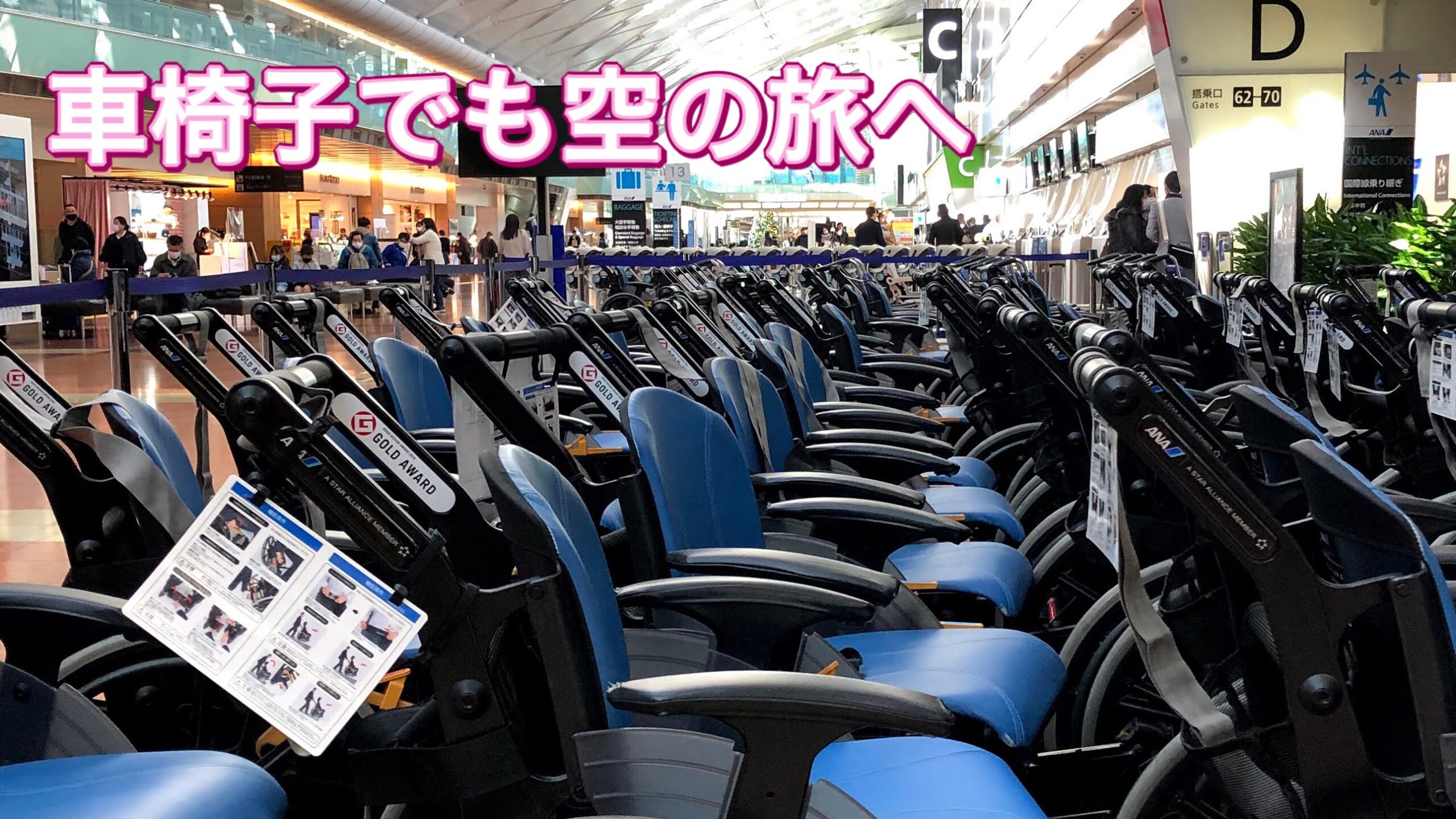 介護付き旅行サービス東京さんぽで行く空の旅