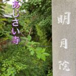 介護付き旅行サービス東京さんぽで行く鎌倉明月院