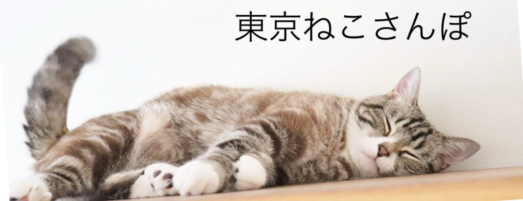 介護タクシーで行く
東京ねこさんぽ
