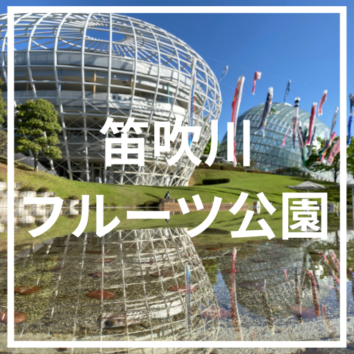 車椅子旅行におすすめの山梨県
