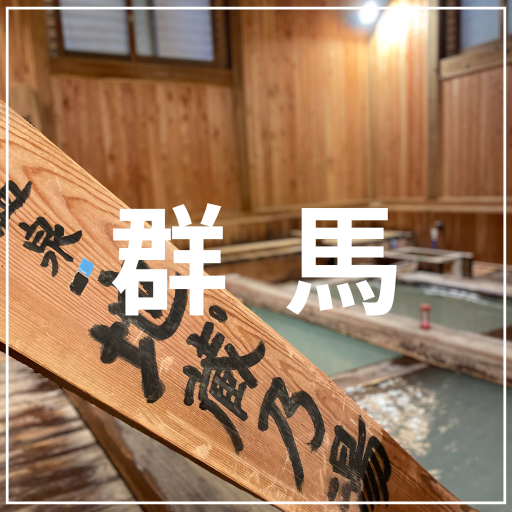 群馬
介護旅行　車椅子旅行　バリアフリー旅行
