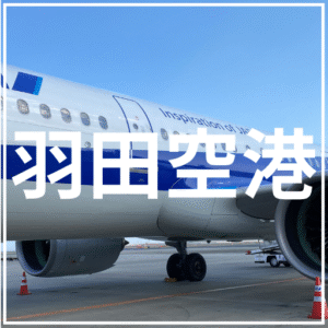 羽田空港送迎＋観光プラン
東京の介護旅行におすすめスポット