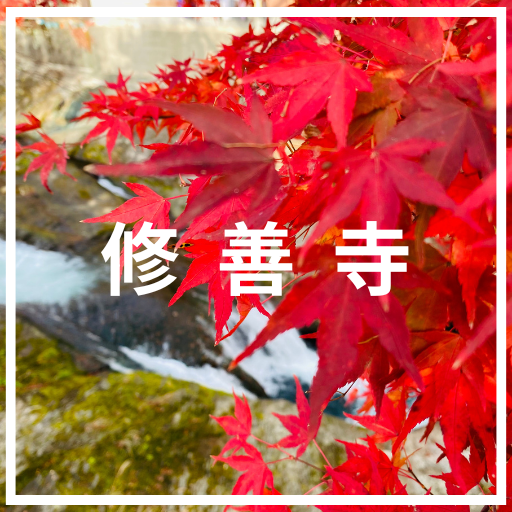 静岡県の介護旅行おすすめスポット
修善寺