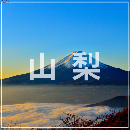 山梨
介護旅行　車椅子旅行　バリアフリー旅行