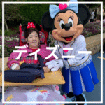 東京さんぽで行く東京ディズニー